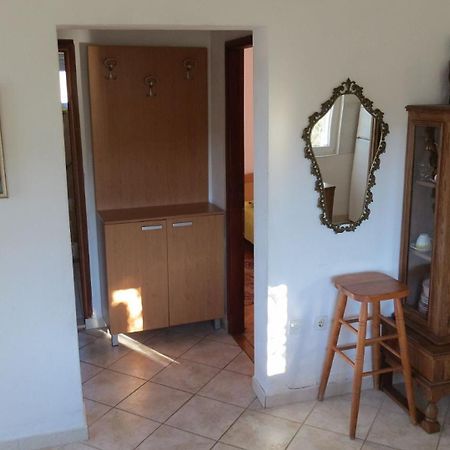 Apartments Janja - Terrace Sea View Nečujam Eksteriør billede